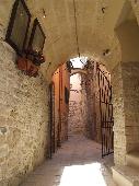 Scorcio del Centro storico
(foto: Michele Guida)