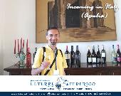 Visite guidate nelle cantine vinicole in zona Castel del Monte e degustazione vini