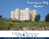 Visite guidate a Castel del Monte