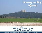 Visite guidate a Castel del Monte