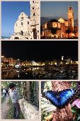le meraviglie della Bat